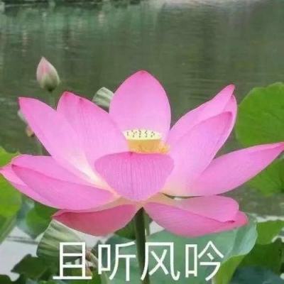 博主：河南队已初步决定解除李玮锋职务；计划聘用前国脚杨晨顶替